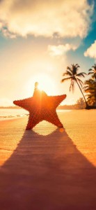 手机壁纸 白日莫闲过,青春不再来